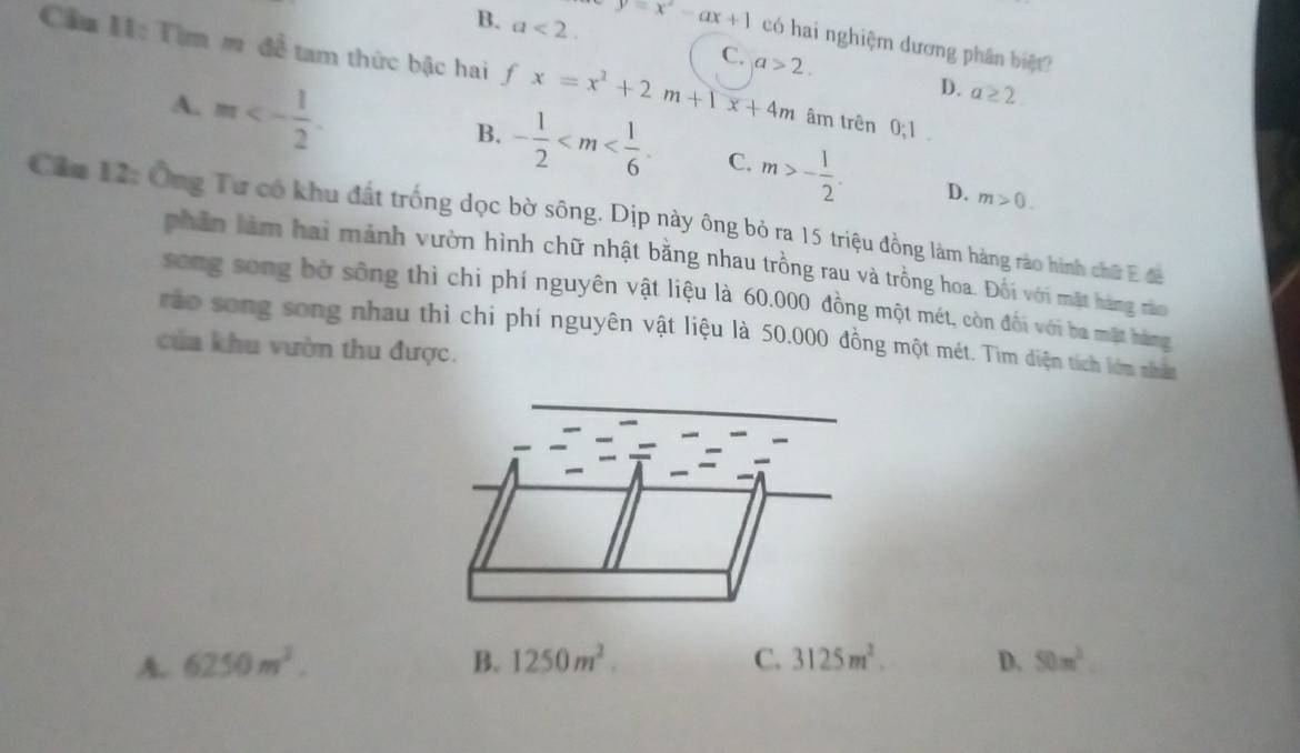 y=x^2-ax+1 có hai nghiệm dương phân biệt?
B. a<2</tex>. C. a>2. 
Cầu H: Tìm m để tam thức bậc hai ƒ x=x^2+2m+1x+4m âm trên 0; 1
A. m<- 1/2 .
D. a≥ 2.
B. - 1/2  . C. m>- 1/2 . D. m>0. 
Cần 12: Ông Tư có khu đất trống dọc bờ sông. Dịp này ông bỏ ra 15 triệu đồng làm hàng rào hình chữ E đá
phần làm hai mảnh vườn hình chữ nhật bằng nhau trồng rau và trồng hoa. Đối với mặt hàng rào
song song bờ sông thì chi phí nguyên vật liệu là 60.000 đồng một mét, còn đối với ba mặt hàng
rào song song nhau thì chi phí nguyên vật liệu là 50,000 đồng một mét. Tìm diện tích lớm nhâ
của khu vườn thu được.
A. 6250m^3. B. 1250m^2. C. 3125m^2. D. 50m^2