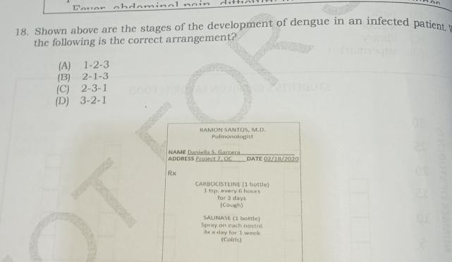 Shown above are the stages of the development of dengue in an infected patient.
the following is the correct arrangement?
(A) 1 -2 -3
(B) 2 -1 -3
(C) 2 -3 -1
(D) 3 -2 -1
RAMON SANTOS, M.D. Pulmonologist
ADDRESS Project 7, QC NAME Daniella S. Garcera DATE 02/18/2020
Rx
CARBOCISTEINE (1 bottle)
1 tsp. every 6 hours for 3 days
(Cough)
SALINASE (1 bottle)
Spray on each nostril
3x a day for 1 week
(Colds)