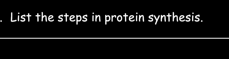 List the steps in protein synthesis.