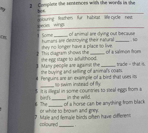 Complete the sentences with the words in the 
ny 
box. 
_ 
colouring feathers fur habitat life cycle nest 
species wings 
Ces 
1 Some _of animal are dying out because 
humans are destroying their natural _, SO 
they no longer have a place to live. 
2 This diagram shows the _of a salmon from 
the egg stage to adulthood. 
3 Many people are against the _trade - that is, 
the buying and selling of animal's coats. 
4 Penguins are an example of a bird that uses its 
_to swim instead of fly. 
5 It is illegal in some countries to steal eggs from a 
bird's _in the wild. 
6 The_ of a horse can be anything from black 
or white to brown and grey. 
7 Male and female birds often have different 
coloured_ 
. .