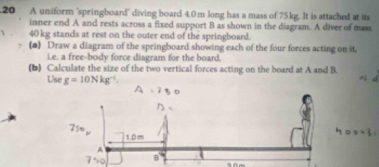 Solved: A uniform 'springboard' diving board 4.0 m long has a mass of ...