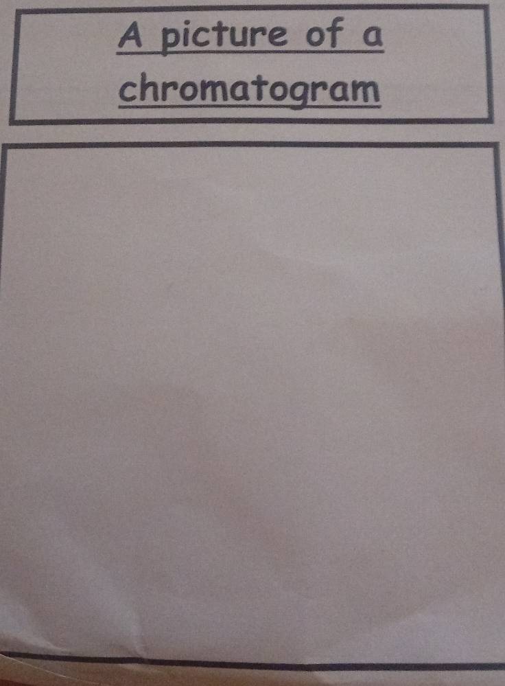 A picture of a 
chromatogram