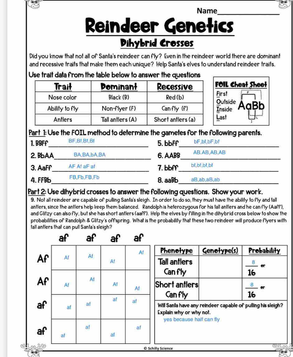 Solved: Name_ Reindeer Genetics Dihybrid Crosses Did you know that not all  of Santa's reindeer can [Biology], image size:942x1144