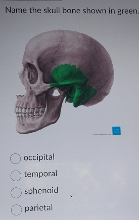 Name the skull bone shown in green.
occipital
temporal
sphenoid
parietal