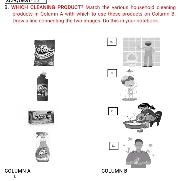 SCFQUEST! #2 
B. WHICH CLEANING PRODUCT? Match the various household cleaning 
products in Column A with which to use these products on Column B. 
Draw a line connecting the two images. Do this in your notebook. 
A. 
B. 
C. 
njodern 
D. 
shutterstack 
COLUMN A COLUMN B 
1.