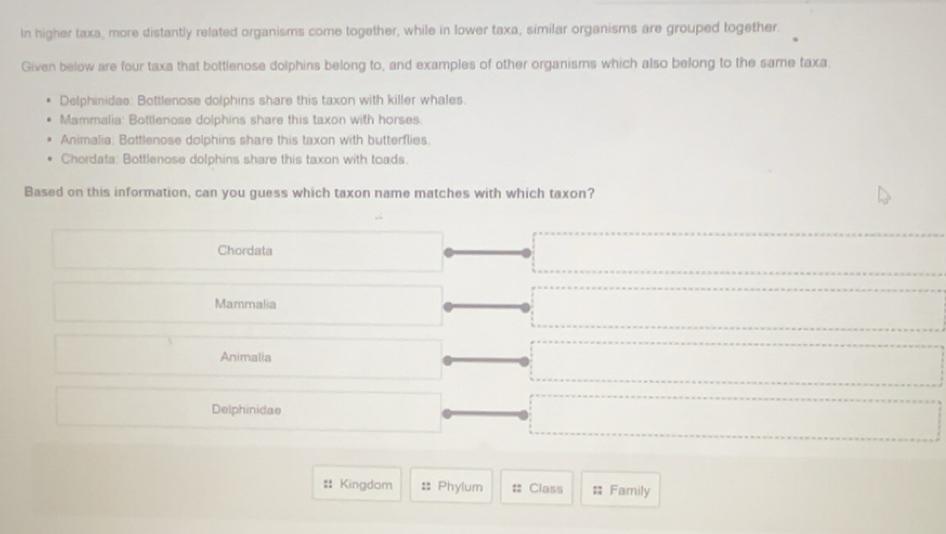 Solved: In higher taxa, more distantly related organisms come together ...