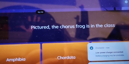 38/49 
Pictured, the chorus frog is in the class 
ChromeDS。now 
Low-power charger connected 
Amphibia Chordata Battery charging may be unreliable.