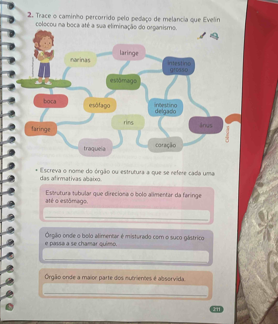 Trace o caminho percorrido pelo pedaço de melancia que Evelin 
colocou na boca até a sua 
Escreva o nome do órgão ou estrutura a que se refere cada uma 
das afirmativas abaixo. 
Estrutura tubular que direciona o bolo alimentar da faringe 
até o estômago. 
_ 
Órgão onde o bolo alimentar é misturado com o suco gástrico 
e passa a se chamar quimo. 
_ 
Órgão onde a maior parte dos nutrientes é absorvida. 
_
211