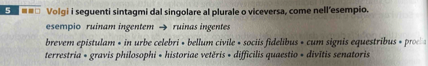 5 -.□ Volgi i seguenti sintagmi dal singolare al plurale o viceversa, come nell’esempio. 
esempio ruinam ingentem → ruinas ingentes 
brevem epistulam • in urbe celebri • bellum civile • sociis fidelibus • cum signis equestribus • proela 
terrestria • gravis philosophi • historiae vetěris • difficilis quaestio • divĭtis senatoris