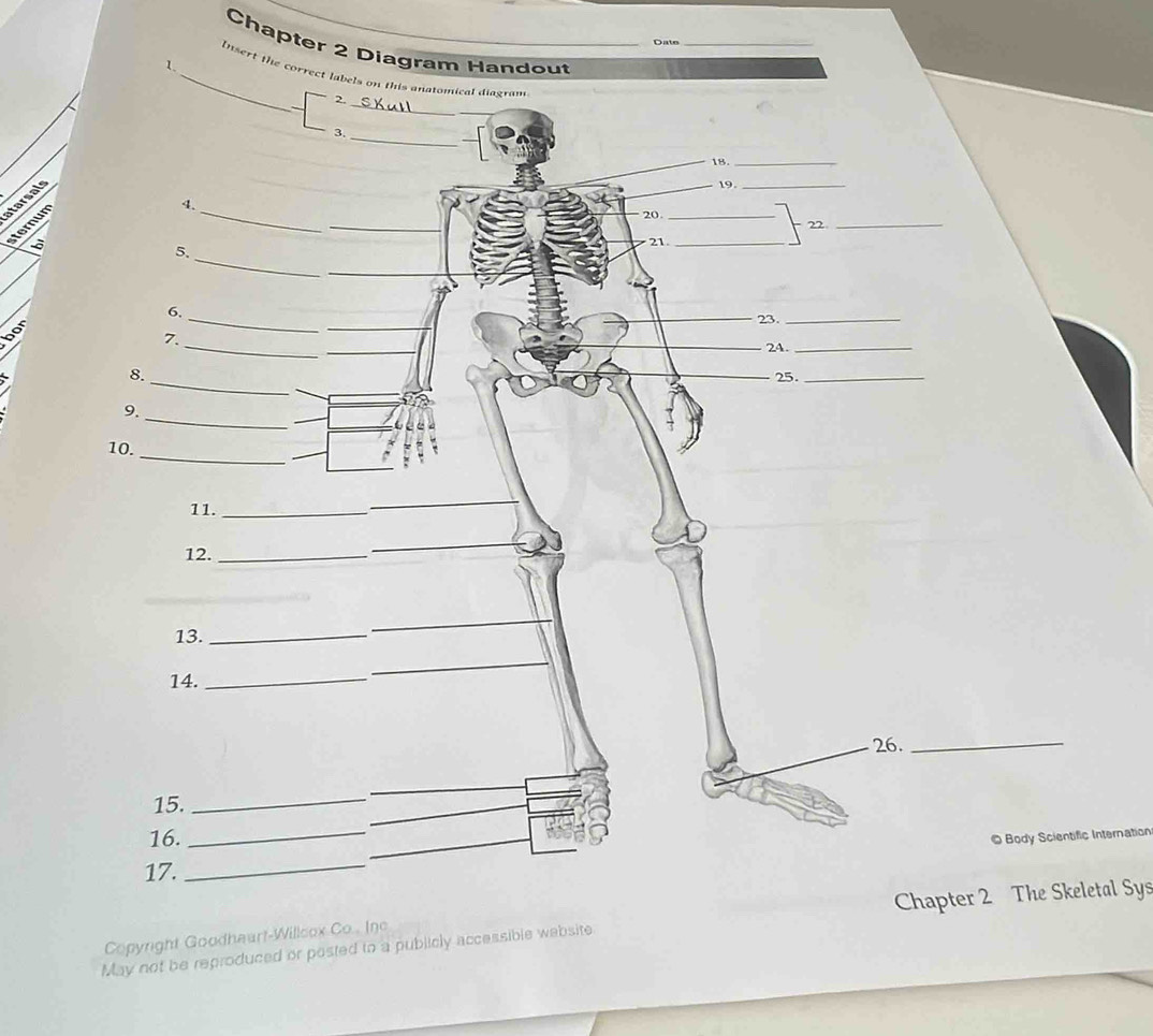 Date 
Chapter 2 Diagram Handout 
_In 
atarsals 
ternum 
5 
bor 
© Body Scientific Internation 
Chapter 2 The Skeletal Sys 
Copyright Goodheart-Willcox 
May not be reproduced or posted to a publicly accessible website