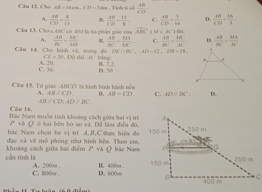 Cho AB=16cm, CD=3dm. Tính tỉ số  AB/CD .
A.  AB/CD = 8/15 . B.  AB/CD = 15/8 . C.  AB/CD = 3/16 . D.  AB/CD = 16/3 . 
Câu 13. Cho △ ABC có BM là tia phân giác của widehat ABC  M∈ AC) thì:
A.  AB/BC = MC/MB . B.  AB/BC = MA/MC . C.  AB/BC = MC/AC . D.  AB/BC = MA/AC 
Câu 14. Cho hình vẽ, trong đó DE//BC, AD=12, DB=18.
CE=30. Độ dài AC bằng:
A. 20. B. 7.2.
C. 36. D. 50
Câu 15. Tứ giác ABCD là hình bình hành nếu
A. ABparallel CD. B. AB=CD. C. ADparallel BC. D.
ABparallel CD; ADparallel BC. 
Câu 16.
Bác Nam muốn tính khoảng cách giữa hai vị trí
P và Q ở hai bên bờ ao cá. Để làm điều đó,
bác Nam chọn ba vị trí A, B,C thực hiện đo
đạc và vẽ mô phỏng như hình bên. Theo em,
khoảng cách giữa hai điểm P và Q bác Nam
cần tính là
A. 200m. B. 400m.
C. 800m. D. 600m
0 diễm