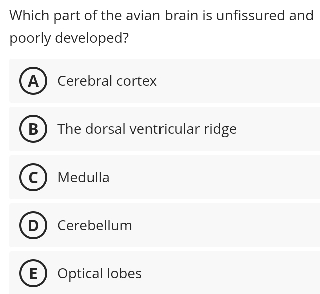 Which part of the avian brain is unfissured and
poorly developed?
A ) Cerebral cortex
BThe dorsal ventricular ridge
Medulla
Cerebellum
EOptical lobes