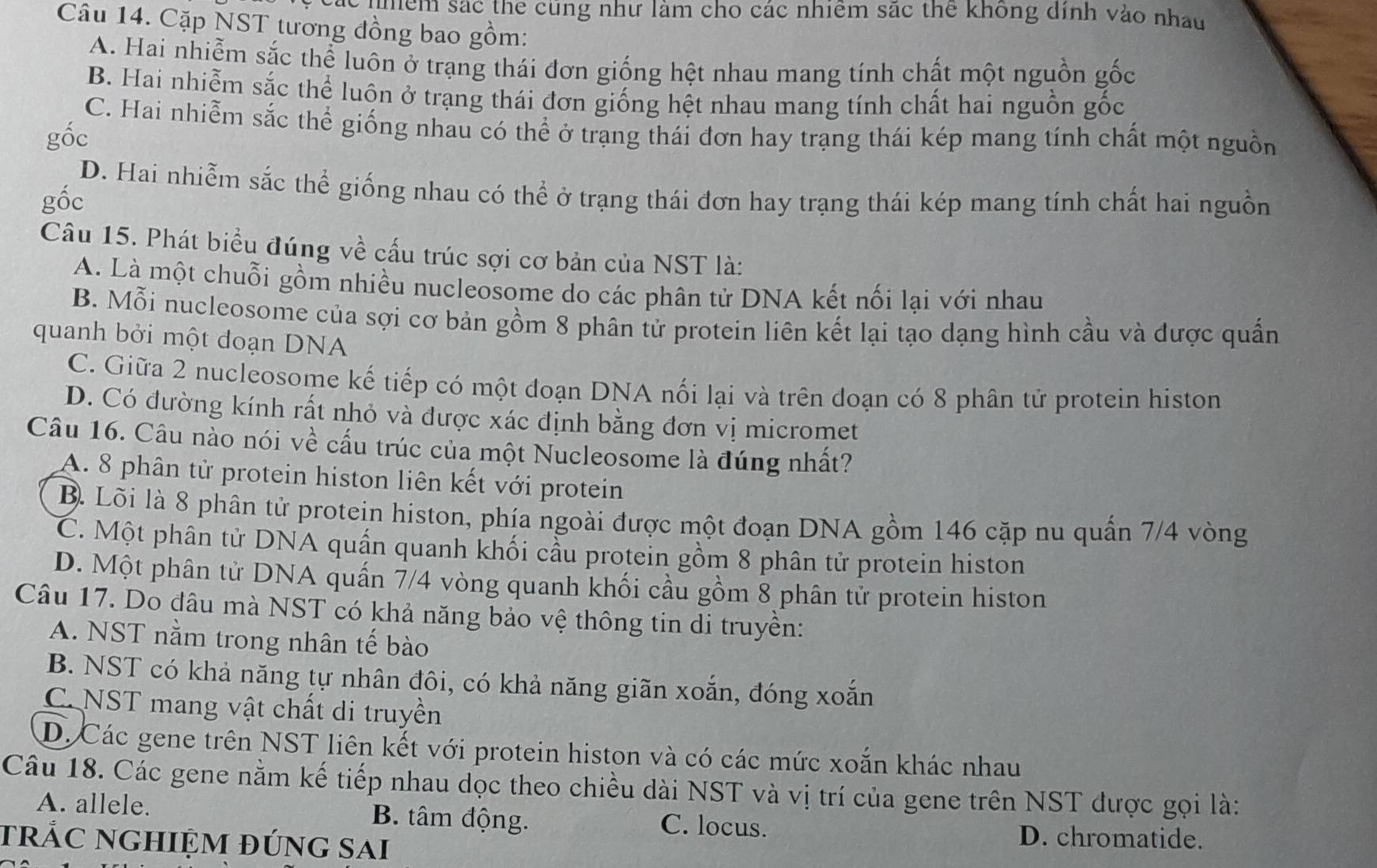 hmểm sác the cũng như làm cho các nhiêm sắc thể không dính vào nhau
Câu 14. Cặp NST tương đồng bao gồm:
A. Hai nhiễm sắc thể luôn ở trạng thái đơn giống hệt nhau mang tính chất một nguồn gốc
B. Hai nhiễm sắc thể luôn ở trạng thái đơn giống hệt nhau mang tính chất hai nguồn gốc
C. Hai nhiễm sắc thể giống nhau có thể ở trạng thái đơn hay trạng thái kép mang tính chất một nguồn
gộc
D. Hai nhiễm sắc thể giống nhau có thể ở trạng thái đơn hay trạng thái kép mang tính chất hai nguồn
gốc
Câu 15. Phát biểu đúng về cấu trúc sợi cơ bản của NST là:
A. Là một chuỗi gồm nhiều nucleosome do các phân tử DNA kết nối lại với nhau
B. Mỗi nucleosome của sợi cơ bản gồm 8 phân tử protein liên kết lại tạo dạng hình cầu và được quấn
quanh bởi một đoạn DNA
C. Giữa 2 nucleosome kế tiếp có một đoạn DNA nối lại và trên doạn có 8 phân tử protein histon
D. Có đường kính rất nhỏ và được xác định bằng đơn vị micromet
Câu 16. Câu nào nói về cấu trúc của một Nucleosome là đúng nhất?
A. 8 phân tử protein histon liên kết với protein
B. Lõi là 8 phân tử protein histon, phía ngoài được một đoạn DNA gồm 146 cặp nu quấn 7/4 vòng
C. Một phân tử DNA quấn quanh khối cầu protein gồm 8 phân tử protein histon
D. Một phân tử DNA quấn 7/4 vòng quanh khối cầu gồm 8 phân tử protein histon
Câu 17. Do đâu mà NST có khả năng bảo vệ thông tin di truyền:
A. NST nằm trong nhân tế bào
B. NST có khả năng tự nhân đôi, có khả năng giãn xoắn, đóng xoắn
C. NST mang vật chất di truyền
D. Các gene trên NST liên kết với protein histon và có các mức xoắn khác nhau
Câu 18. Các gene nằm kế tiếp nhau dọc theo chiều dài NST và vị trí của gene trên NST được gọi là:
A. allele. B. tâm động. C. locus.
trắC nghiệm đúng sai
D. chromatide.