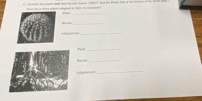 Identify the plants and their biomes below. (HINT: find the Plants link at the bottom of the home page.) 
How have these plants adapted to their environment? 
Plant:_ 
Biome:_ 
Adaptations:_ 
Plant:_ 
Biome:_ 
Adaptations: 
_