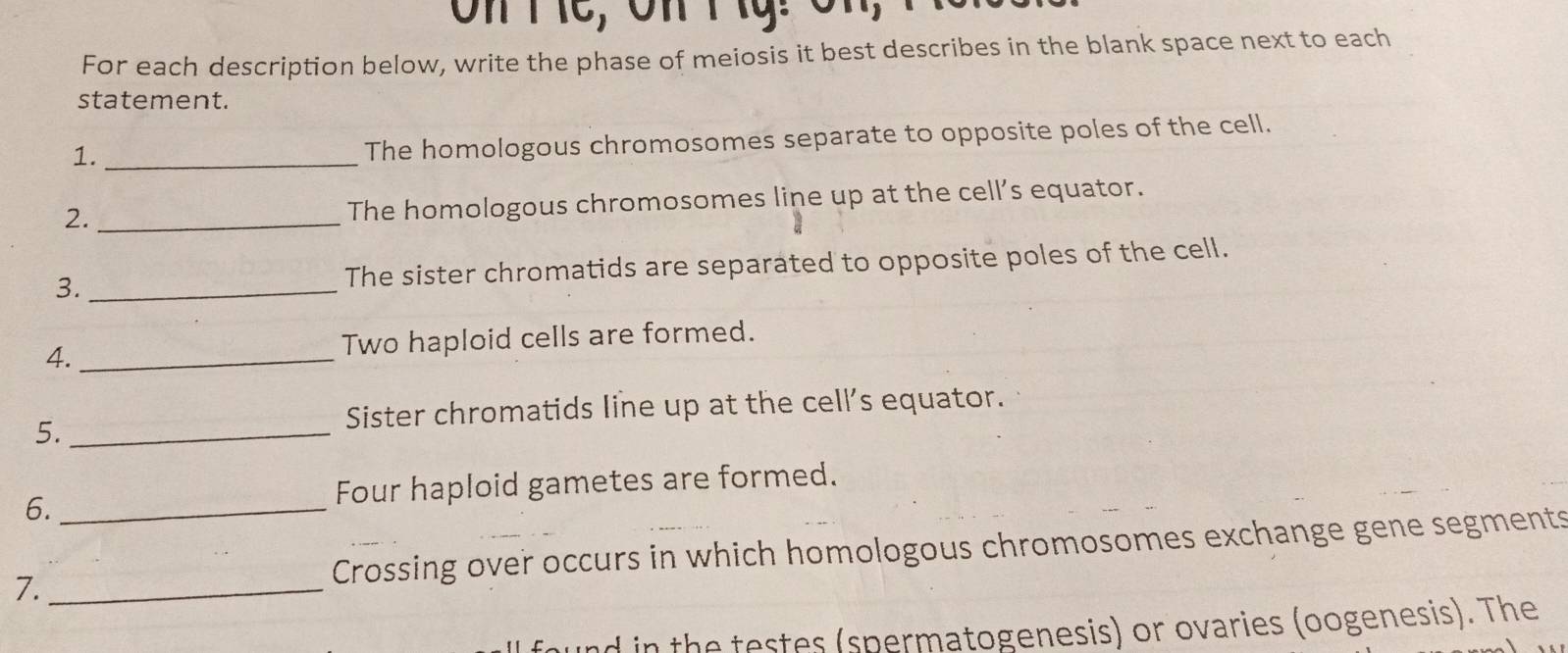 TiC, On Ttỹ: ôn, 
For each description below, write the phase of meiosis it best describes in the blank space next to each 
statement. 
1._ 
The homologous chromosomes separate to opposite poles of the cell. 
2. _The homologous chromosomes line up at the cell’s equator. 
3._ The sister chromatids are separated to opposite poles of the cell. 
4. _Two haploid cells are formed. 
5._ 
Sister chromatids line up at the cell's equator. 
6. _Four haploid gametes are formed. 
7._ Crossing over occurs in which homologous chromosomes exchange gene segments 
nd in the testes (spermatogenesis) or ovaries (oogenesis). The