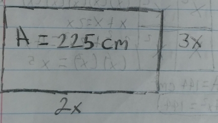 A=225cm 3x
2x