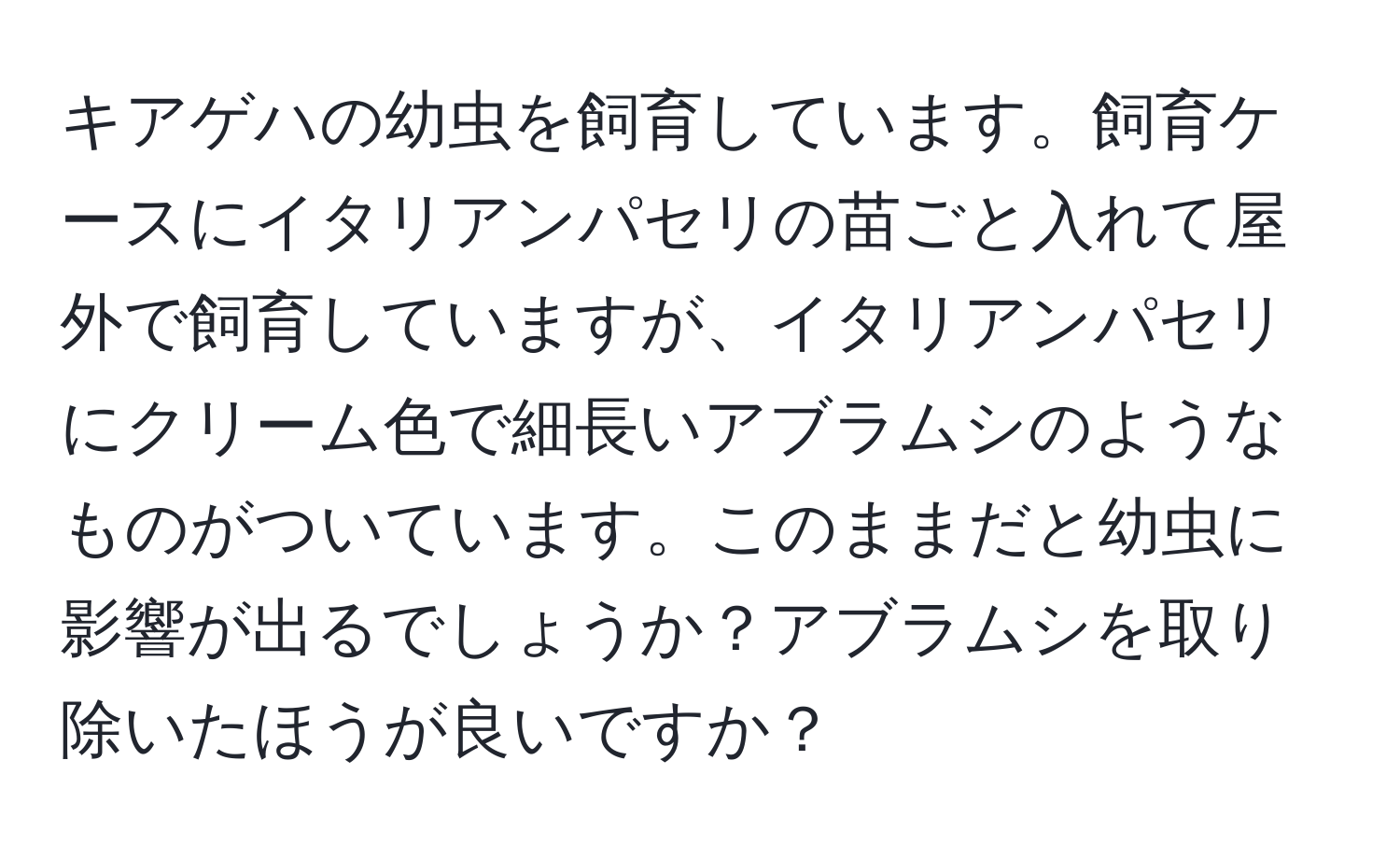 キアゲハの幼虫を飼育しています。飼育ケースにイタリアンパセリの苗ごと入れて屋外で飼育していますが、イタリアンパセリにクリーム色で細長いアブラムシのようなものがついています。このままだと幼虫に影響が出るでしょうか？アブラムシを取り除いたほうが良いですか？