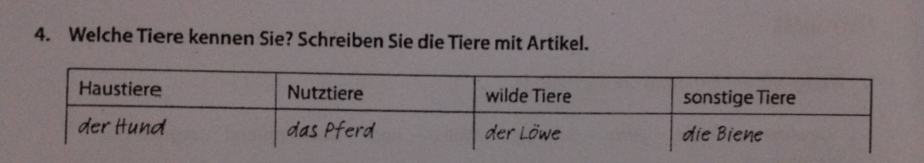 Welche Tiere kennen Sie? Schreiben Sie die Tiere mit Artikel.