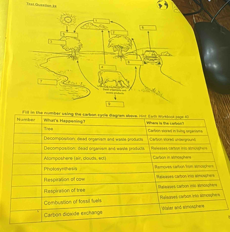 Test Question 24