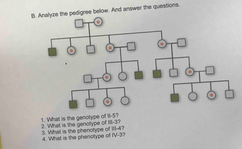 Analyze the pedigree below. And answer the questions. 
1. What is the genotype of II -5? 
2. What is the genotype of III -3? 
3. What is the phenotype of III -4? 
4. What is the phenotype of IV -3?