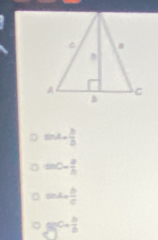 sin A= b/b 
sin C= a/b 
sin A= b/c 
g(c)= b/b 