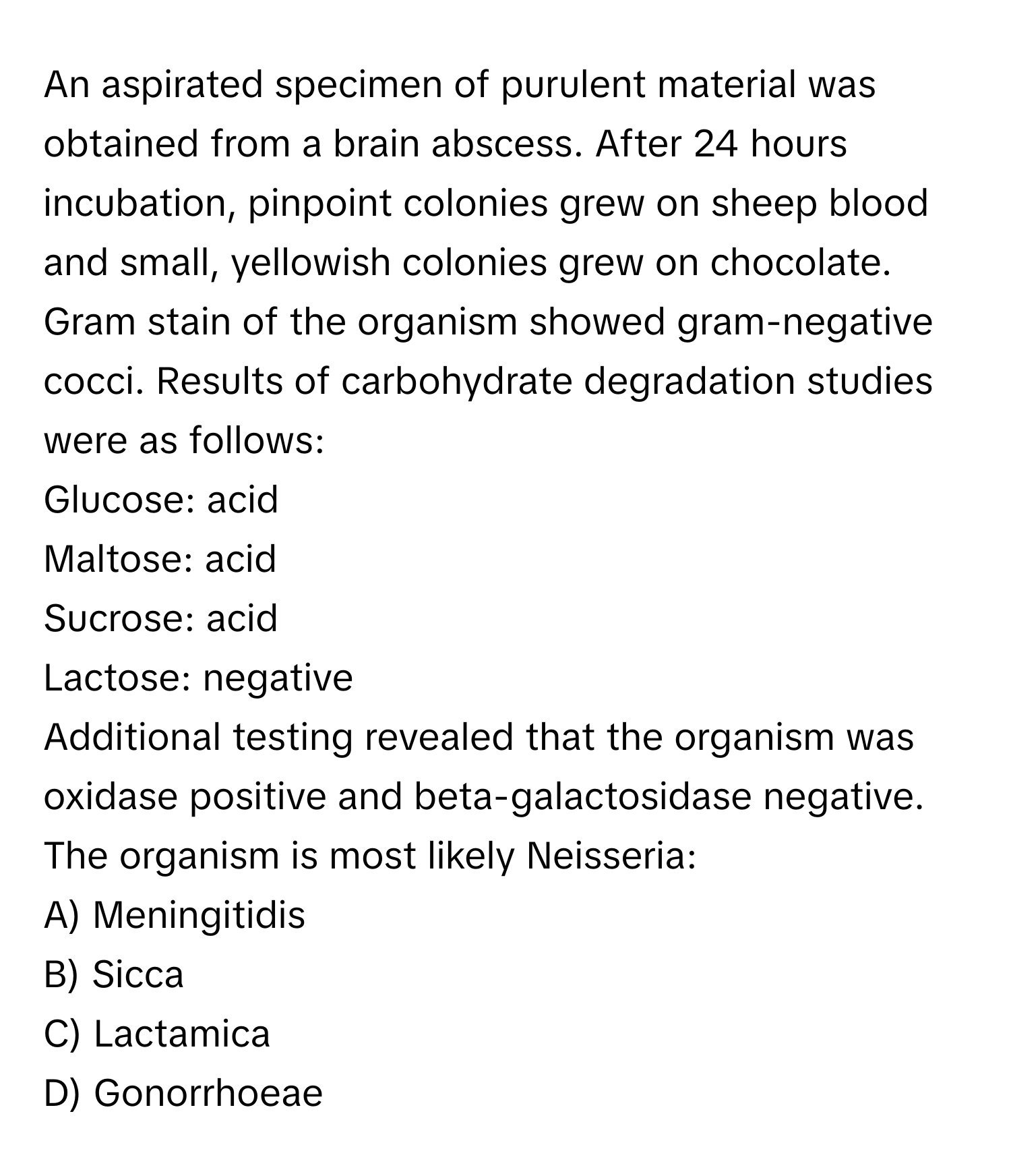 An aspirated specimen of purulent material was obtained from a brain abscess. After 24 hours incubation, pinpoint colonies grew on sheep blood and small, yellowish colonies grew on chocolate. Gram stain of the organism showed gram-negative cocci. Results of carbohydrate degradation studies were as follows:

Glucose: acid  
Maltose: acid  
Sucrose: acid  
Lactose: negative 

Additional testing revealed that the organism was oxidase positive and beta-galactosidase negative. The organism is most likely Neisseria:
A) Meningitidis
B) Sicca
C) Lactamica
D) Gonorrhoeae