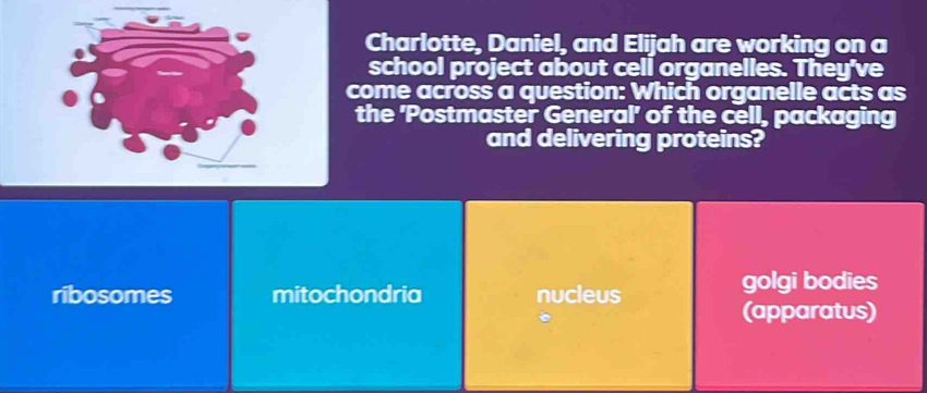 Charlotte, Daniel, and Elijah are working on a
school project about cell organelles. They've
come across a question: Which organelle acts as
the 'Postmaster General' of the cell , packaging
and delivering proteins?
ribosomes mitochondria nucleus golgi bodies
(apparatus)