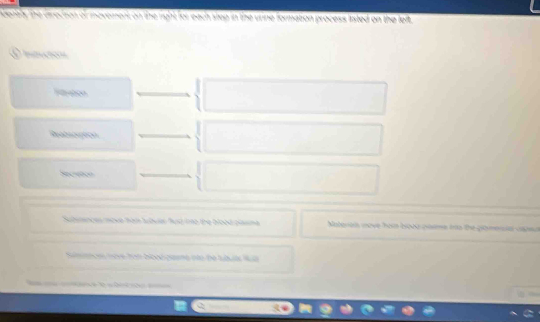 denaly the direction of movement on the right for each stop in the urine formation process listed on the left. 
D instucton 
Filiation 
Reabscuption 
Secietón 
Subritances move from tubular fluid into the blood plasma Materais move from brood plasma into the glomenial caget 
Salsiances nove from blood plasme into the tubults fua 
e de b