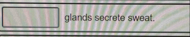 glands secrete sweat.