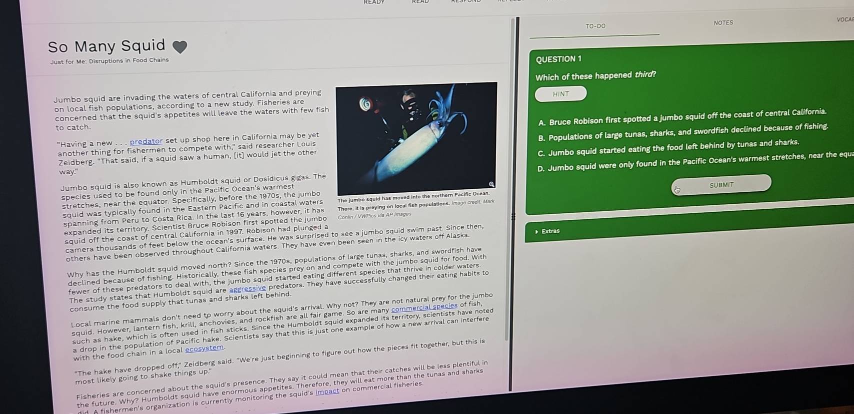 VOCA
TO-DO NOTES
So Many Squid
Just for Me: Disruptions in Food Chains
QUESTION 1
Which of these happened third?
Jumbo squid are invading the waters of central California and preyingHINT
on local fish populations, according to a new study. Fisheries are
concerned that the squid's appetites will leave the waters with few fis
to catch.
"Having a new . . . predator set up shop here in California may be yet A. Bruce Robison first spotted a jumbo squid off the coast of central California.
Zeidberg. "That said, if a squid saw a human, [it] would jet the other B. Populations of large tunas, sharks, and swordfish declined because of fishing.
another thing for fishermen to compete with," said researcher Louis
way." C. Jumbo squid started eating the food left behind by tunas and sharks.
Jumbo squid is also known as Humboldt squid or Dosidicus gigas. TheD. Jumbo squid were only found in the Pacific Ocean's warmest stretches, near the equa
species used to be found only in the Pacific Ocean's warmest
stretches, near the equator. Specifically, before the 1970s, the jumbo
squid was typically found in the Eastern Pacific and in coastal waters The jumbo squid has moved into the northern Pacific Ocean. SUBMIT
There, it is preying on local fish populations. image credit: Mark
spanning from Peru to Costa Rica. In the last 16 years, however, it has Conlin / VWPics via AP Images
expanded its territory. Scientist Bruce Robison first spotted the jumbo
squid off the coast of central California in 1997. Robison had plunged a
camera thousands of feet below the ocean's surface. He was surprised to see a jumbo squid swim past. Since then,
others have been observed throughout California waters. They have even been seen in the icy waters off Alaska.  Extras
Why has the Humboldt squid moved north? Since the 1970s, populations of large tunas, sharks, and swordfish have
declined because of fishing. Historically, these fish species prey on and compete with the jumbo squid for food. With
fewer of these predators to deal with, the jumbo squid started eating different species that thrive in colder waters.
The study states that Humboldt squid are aggressive predators. They have successfully changed their eating habits to
consume the food supply that tunas and sharks left behind.
Local marine mammals don't need to worry about the squid's arrival. Why not? They are not natural prey for the jumbo
squid. However, lantern fish, krill, anchovies, and rockfish are all fair game. So are many commercial species of fish
such as hake, which is often used in fish sticks. Since the Humboldt squid expanded its territory, scientists have noted
a drop in the population of Pacific hake. Scientists say that this is just one example of how a new arrival can interfere
with the food chain in a local ecosystem
"The hake have dropped off," Zeidberg said. "We're just beginning to figure out how the pieces fit together, but this is
most likely going to shake things up."
Fisheries are concerned about the squid's presence. They say it could mean that their catches will be less plentiful in
the future. Why? Humboldt squid have enormous appetites. Therefore, they will eat more than the tunas and sharks
did A fishermen's organization is currently monitoring the squid's impact on commercial fisheries