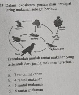 Dalam ekosistem persawahan terdapat
jaring makanan sebagai berikut:
Tentukanlah jumlah rantai makanan yang
terbentuk dari jaring makanan tersebut. .
a. 3 rantai makanan
b. 4 rantai makanan
c. 5 rantai makanan
d. 6 rantai makanan