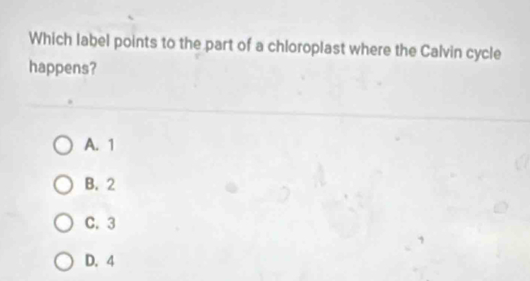 Which label points to the part of a chloroplast where the Calvin cycle
happens?
A. 1
B. 2
C. 3
D. 4