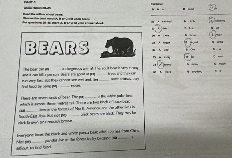 Example:
QUESTIONS 28-35 0 A is B being
Read the article about bears.
Choose the best word (A, B or C) for each space.
For questions 28-35, mark A, B or C on your answer sheet. 28 A climbed 0 climb c climbing
29 A ske B from C tor
30 A them B those the
31 A larger B largest C large
BEARS B One C He
32 A Both
33 A every B all C each
34 (A )many B more C much
The bear can (Q)_ a dangerous animal. The adult bear is very strong
and it can kill a person. Bears are good at (28) _trees and they can 35 A there B anything c n
run very fast. But they cannot see well and. (29) _most animals, they
find food by using (30) _noses.
There are seven kinds of bear. The (31) _is the white polar bear;
which is almost three metres tall. There are two kinds of black bear,
(32)_ lives in the forests of North America, and the other lives in
South-East Asia. But not (33) _black bears are black. They may be
dark brown or a reddish brown.
Everyone loves the black and white panda bear; which comes from China.
Not (34) _pandas live in the forest today because (3s)_ is
difficult to find food.