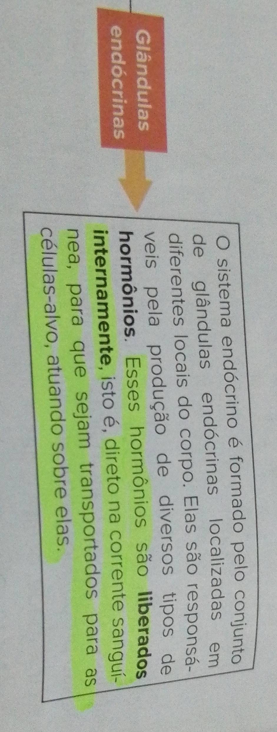 sistema endócrino é formado pelo conjunto 
de glândulas endócrinas localizadas em 
diferentes locais do corpo. Elas são responsá- 
Glândulas veis pela produção de diversos tipos de 
endócrinas hormônios. Esses hormônios são liberados 
internamente, isto é, direto na corrente sanguí- 
nea, para que sejam transportados para as 
células-alvo, atuando sobre elas.