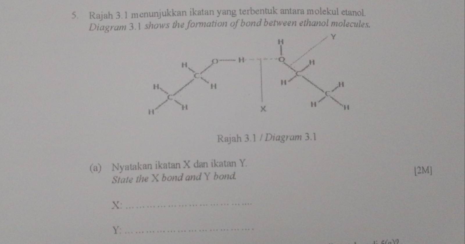 Rajah 3.1 menunjukkan ikatan yang terbentuk antara molekul etanol. 
Diagram 3.1 shows the formation of bond between ethanol molecules. 
Rajah 3.1 / Diagram 3.1 
(a) Nyatakan ikatan X dan ikatan Y. 
State the X bond and Y bond. 
[2M]
X :_
Y :_