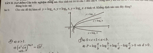 HÀN II. (4,0 điểm) Câu trắc nghiệm đùng sai. Học sinh trà lời từ cầu 1 đến cầu 4. Tong mời y
đúng hoặc sai.
lu 1: Cho các đồ thị hàm số y=log _ax,y=log _bx,y=log _cx ở hình vẽ. Khẳng định nào sau đây đúng?
a) a>1.
b) 0
d) P=log  a/b +log  b/c +log  c/d -log  a/d >0
c) (a^3sqrt(a))^log _ab=sqrt[3](b^2). với d>0.