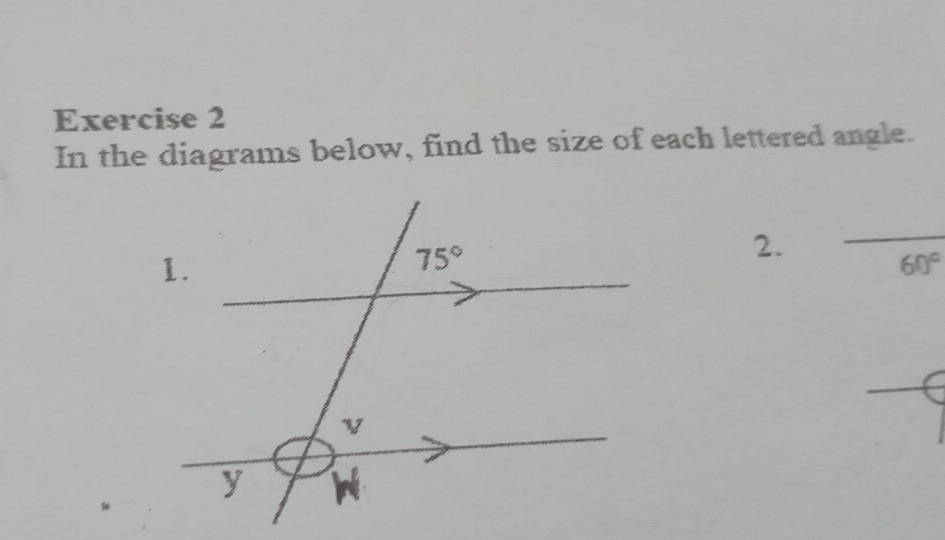 In the diagrams below, find the size of each lettered angle.
2.
_
60°
_