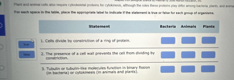 Reeman D 2008 Fearsón Education, Inc. 
Plant and animal ceils also require cytoskeletal proteins for cytokinesis, although the roles these proteins play differ among bacteria, plants, and anima 
For each space in the table, place the appropriate label to indicate if the statement is true or false for each group of organisms. 
Statement Bacteria Animals Plants 
1. Cells divide by constriction of a ring of protein. 
latse 2. The presence of a cell wall prevents the cell from dividing by 
constriction. 
3. Tubulin or tubulin-like molecules function in binary fission 
(in bacteria) or cytokinesis (in animals and plants).