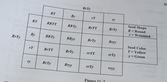 Figure 11. 2