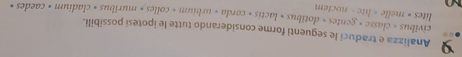 Analizza e traduci le seguenti forme considerando tutte le ipotesi possibili. 
civibus » classe » gentes » dotǐbus » lactis » corda « urbium » colles » murǐbus » cladium » caedes « 
lites • melle。litc - noctem