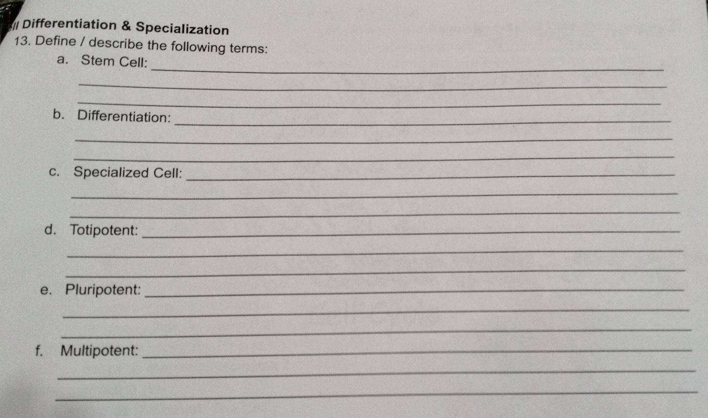 Differentiation & Specialization 
13. Define / describe the following terms: 
_ 
a. Stem Cell: 
_ 
_ 
b. Differentiation:_ 
_ 
_ 
c. Specialized Cell:_ 
_ 
_ 
d. Totipotent:_ 
_ 
_ 
e. Pluripotent:_ 
_ 
_ 
f. Multipotent:_ 
_ 
_