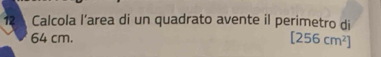 Calcola l’area di un quadrato avente il perimetro di
64 cm. [256cm^2]