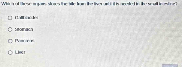 Which of these organs stores the bile from the liver until it is needed in the small intestine?
Gallbladder
Stomach
Pancreas
Liver