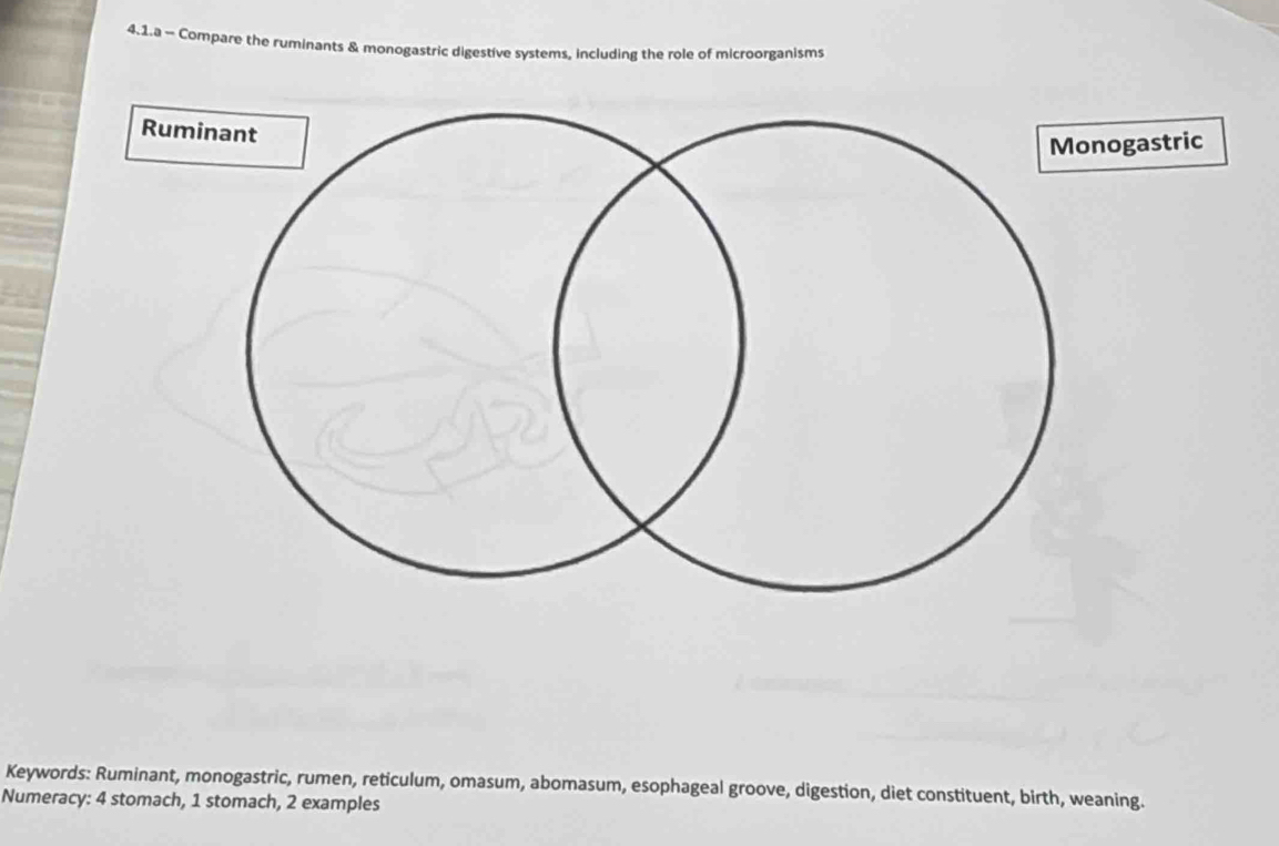 4.1.a - Compare the ruminants & monogastric digestive systems, including the role of microorganisms 
ogastric 
Keywords: Ruminant, monogastric, rumen, reticulum, omasum, abomasum, esophageal groove, digestion, diet constituent, birth, weaning. 
Numeracy: 4 stomach, 1 stomach, 2 examples