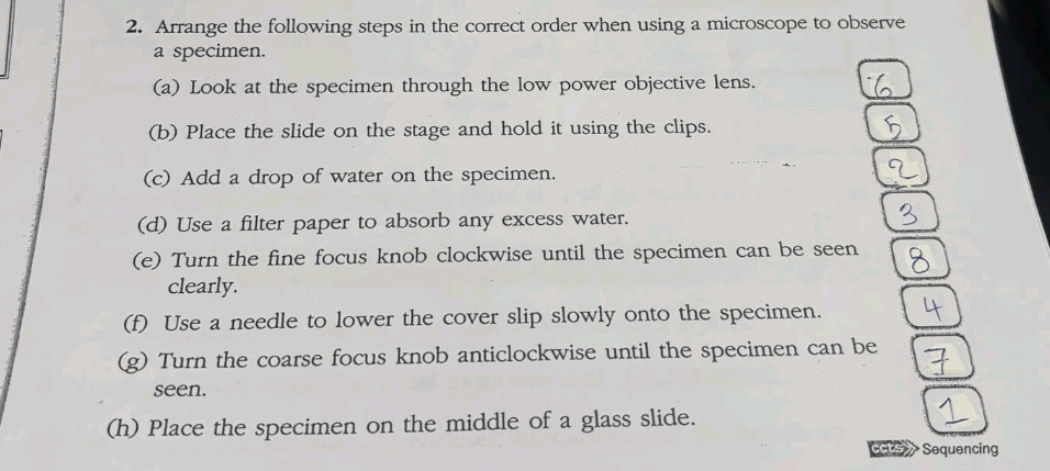 Arrange the following steps in the correct order when using a microscope to observe 
a specimen. 
(a) Look at the specimen through the low power objective lens. 
(b) Place the slide on the stage and hold it using the clips. 
(c) Add a drop of water on the specimen. 
(d) Use a filter paper to absorb any excess water. 
(e) Turn the fine focus knob clockwise until the specimen can be seen 
clearly. 
(f) Use a needle to lower the cover slip slowly onto the specimen. 
(g) Turn the coarse focus knob anticlockwise until the specimen can be 
seen. 
(h) Place the specimen on the middle of a glass slide. 
cus Sequencing