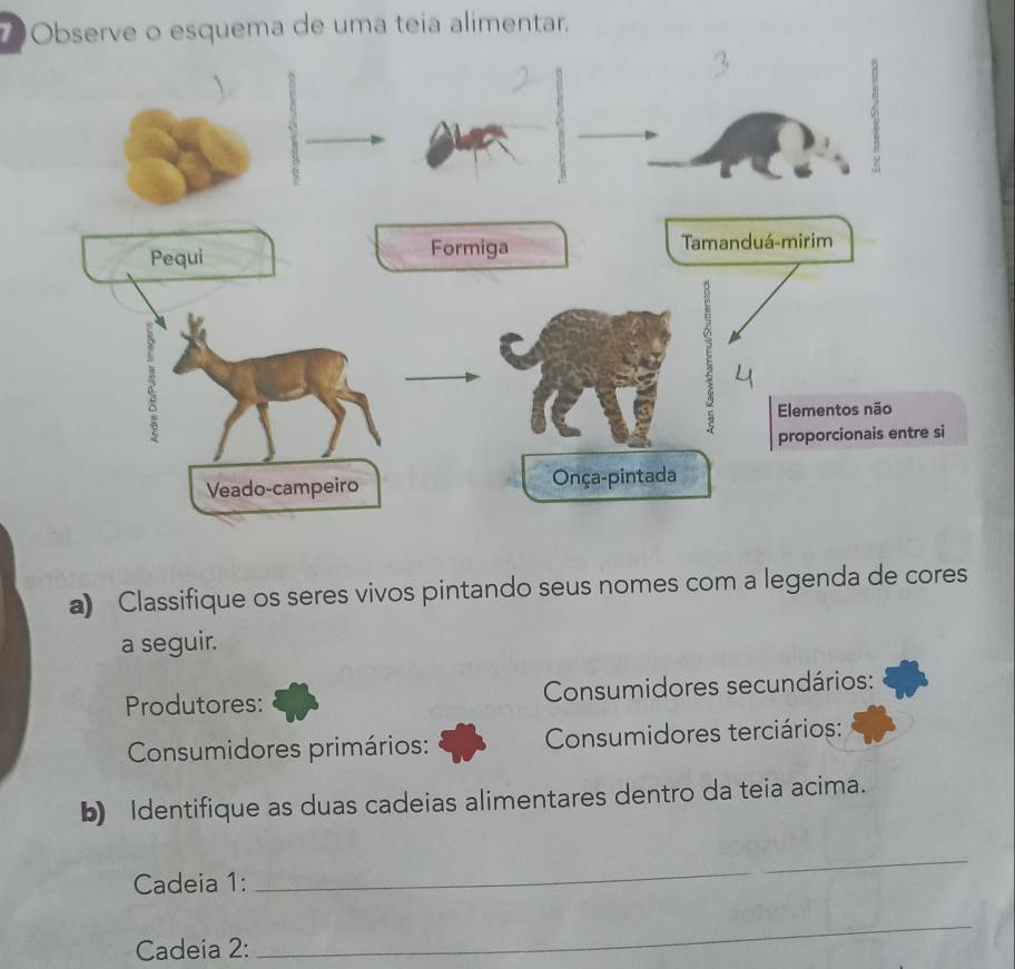 Observe o esquema de uma teia alimentar. 
a) Classifique os seres vivos pintando seus nomes com a legenda de cores 
a seguir. 
Produtores: Consumidores secundários: 
Consumidores primários: Consumidores terciários: 
b) Identifique as duas cadeias alimentares dentro da teia acima. 
Cadeia 1: 
_ 
Cadeia 2: 
_