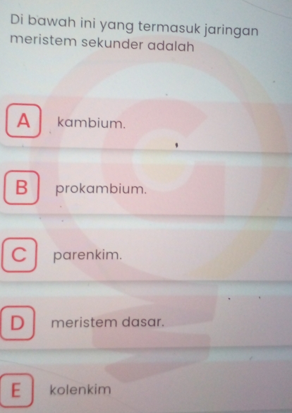 Di bawah ini yang termasuk jaringan
meristem sekunder adalah
Akambium.
B prokambium.
C parenkim.
D meristem dasar.
E kolenkim