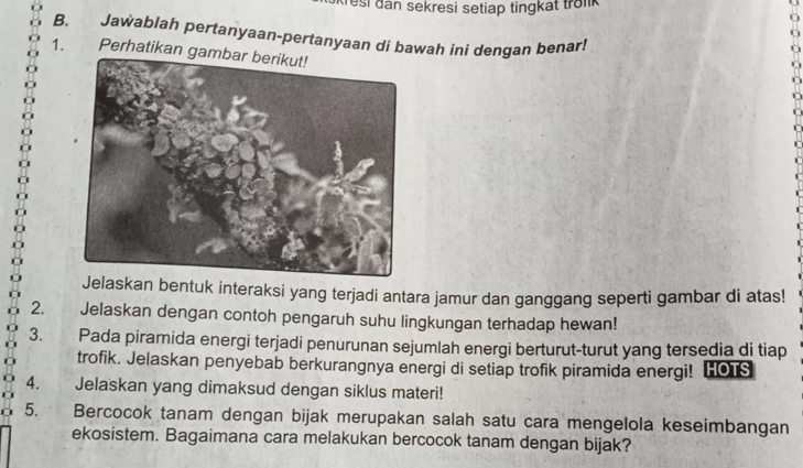 resi dan sekresi setiap tingkat tronk 
B. Jawablah pertanyaan-pertanyaan di bawah ini dengan benar! 
1. Perhatikan gam 
laskan bentuk interaksi yang terjadi antara jamur dan ganggang seperti gambar di atas! 
2. Jelaskan dengan contoh pengaruh suhu lingkungan terhadap hewan! 
3. Pada piramida energi terjadi penurunan sejumlah energi berturut-turut yang tersedia di tiap 
trofik. Jelaskan penyebab berkurangnya energi di setiap trofik piramida energi! HOis 
4. Jelaskan yang dimaksud dengan siklus materi! 
5. Bercocok tanam dengan bijak merupakan salah satu cara mengelola keseimbangan 
ekosistem. Bagaimana cara melakukan bercocok tanam dengan bijak?