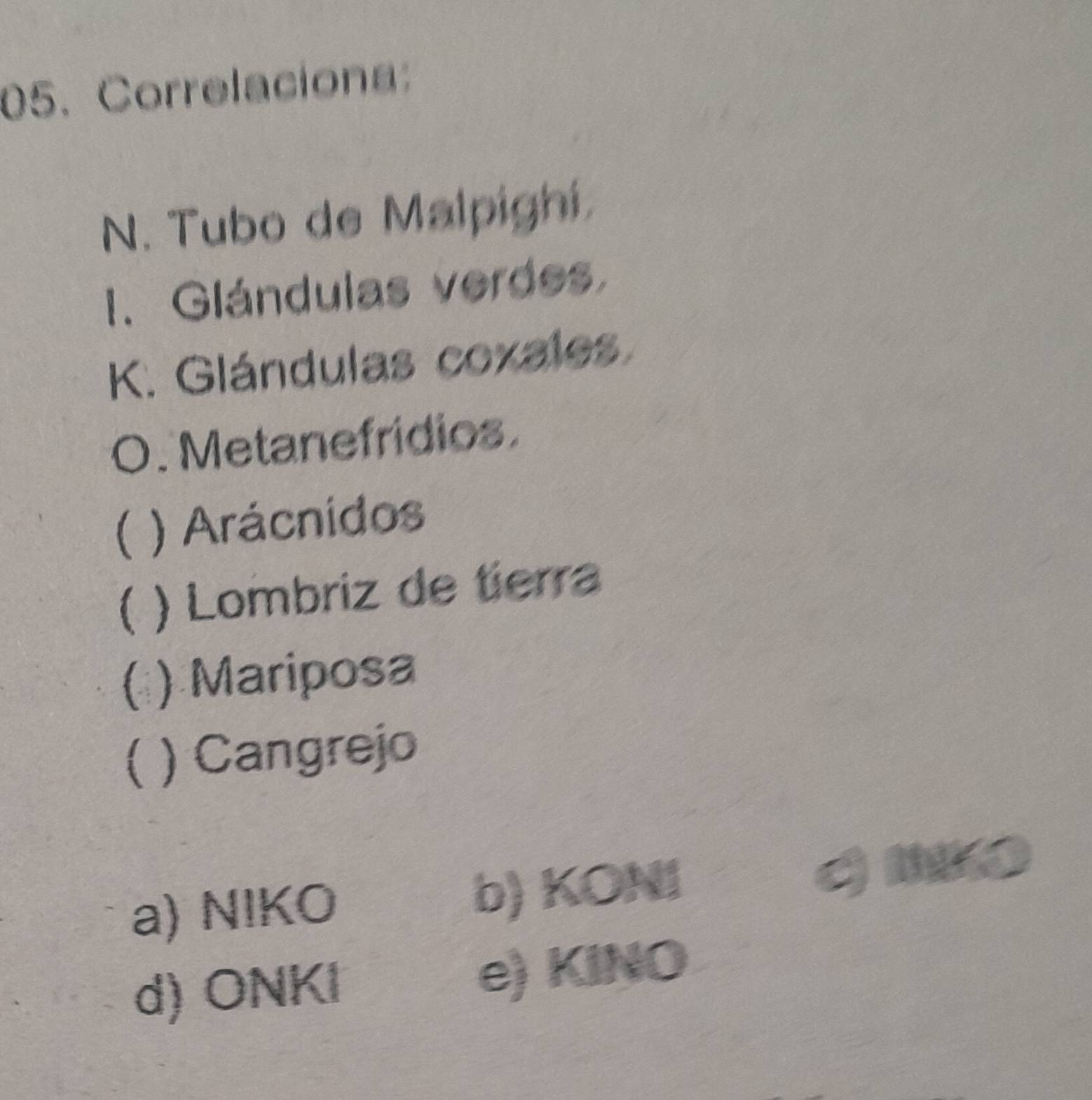 Correlaciona:
N. Tubo de Malpighi.
1. Glándulas verdes.
K. Glándulas coxales.
O. Metanefridios.
( ) Arácnidos
) Lombriz de tierra
( ) Mariposa
( ) Cangrejo
a) NIKO b) KON1
d) ONKl e) KINO