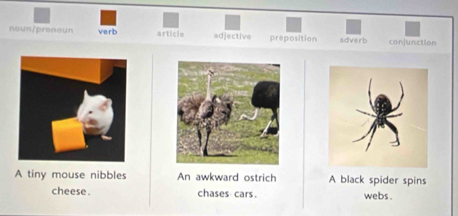 noun/pronoun verb article adjective preposition adverb conjunction
A tiny mouse nibbles An awkward ostrich A black spider spins
cheese . chases cars. webs .